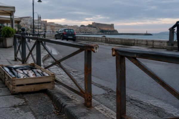 Crotone: sequestro dehor, pesce senza tracciamento e multe auto online