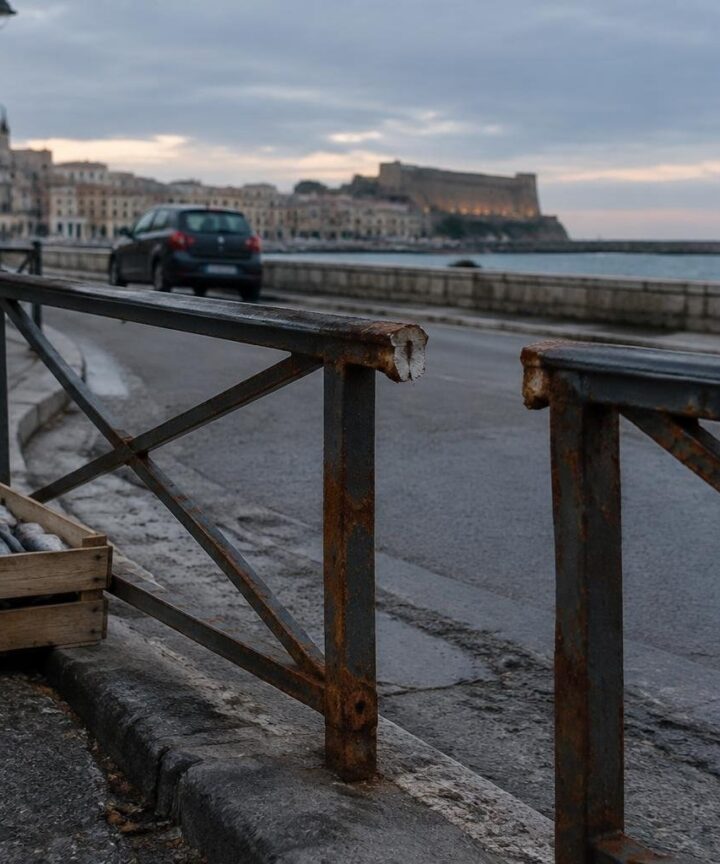 Crotone: sequestro dehor, pesce senza tracciamento e multe auto online