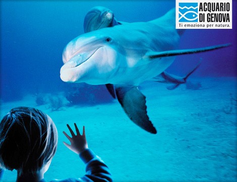 Sconti on line per un ingresso all’Acquario di Genova e giardino tropicale