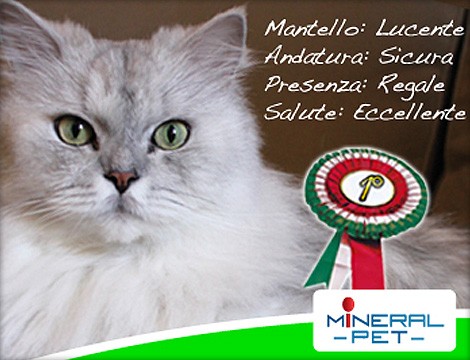 Offerte sconti per check up veterinario online