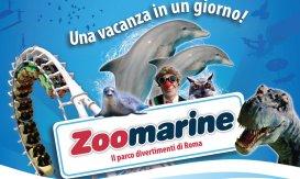 Sconti per parco acquatico e divertimenti Zoomarine