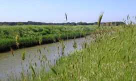 Offerte sconti per centro estivo oasi WWF di Macchiagrande