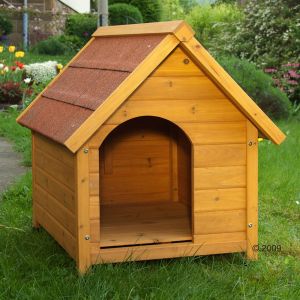 Sconti su cibo e accessori per cani, gatti ed altri animali domestici