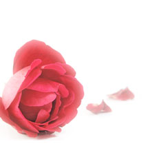 Codice coupon per percorso relax, scrub e doccia solare