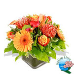 Vendita fiori online con consegna a domicilio