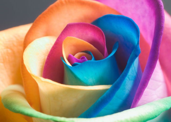 San Valentino con Italianflora