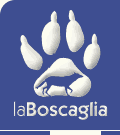 Boscaglia: vacanze a piedi nella natura