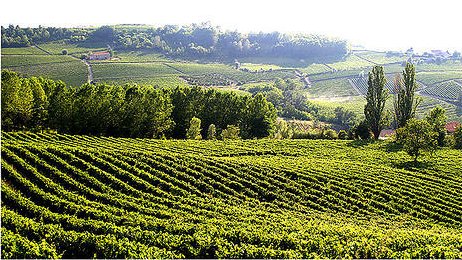 Sconti per un soggiorno per due nel Monferrato