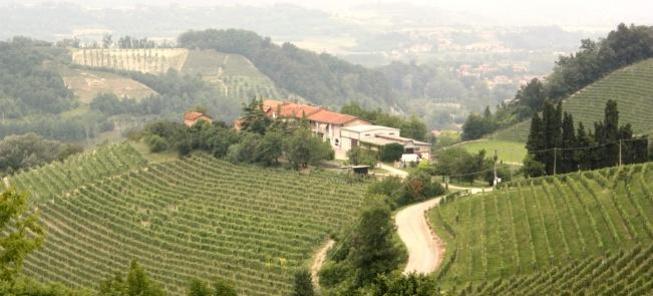 Sconti online per una visita guidata alla cantina con degustazione