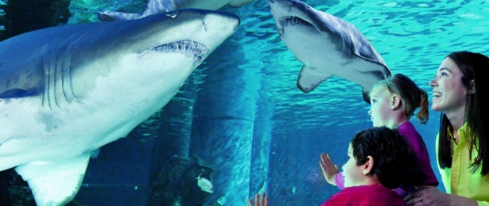 Coupon sconto per Acquario di Cattolica