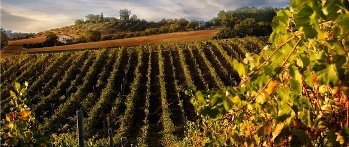 Sconto per Tour giornaliero Chianti, Siena e San Gimignano