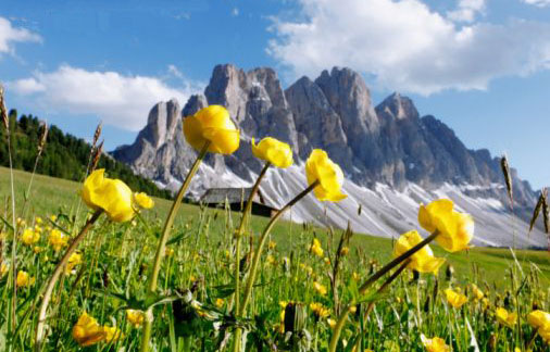 Sconti online per un soggiorno di coppia in Val di Fiemme