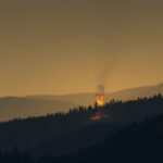 Incendio boschivo rilevato a 57 km da Palermo