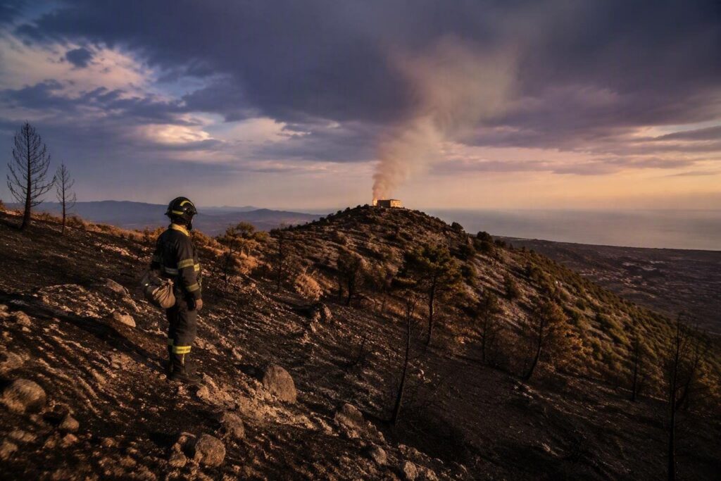 Incendi in Sicilia: interventi continui e danni diffusi