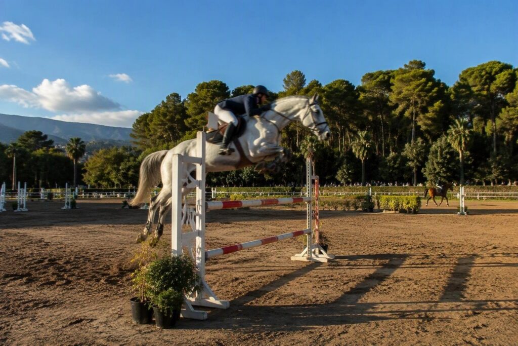 Prima vittoria per Ginevra Sorrentino nella categoria 125 a Palermo