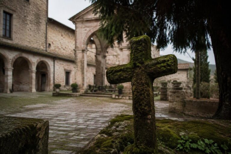 Programmi culturali e sociali per l’800° anniversario di San Francesco