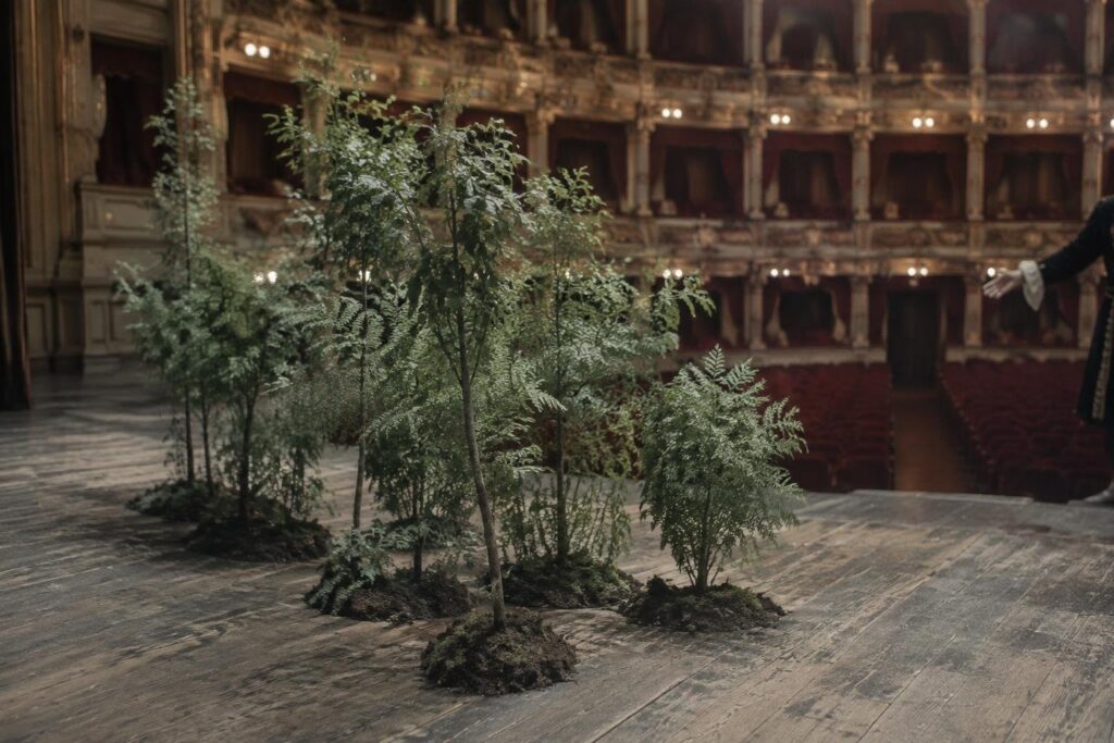 Spettacolo benefico di Teresa Mannino per la foresta urbana a Danisinni