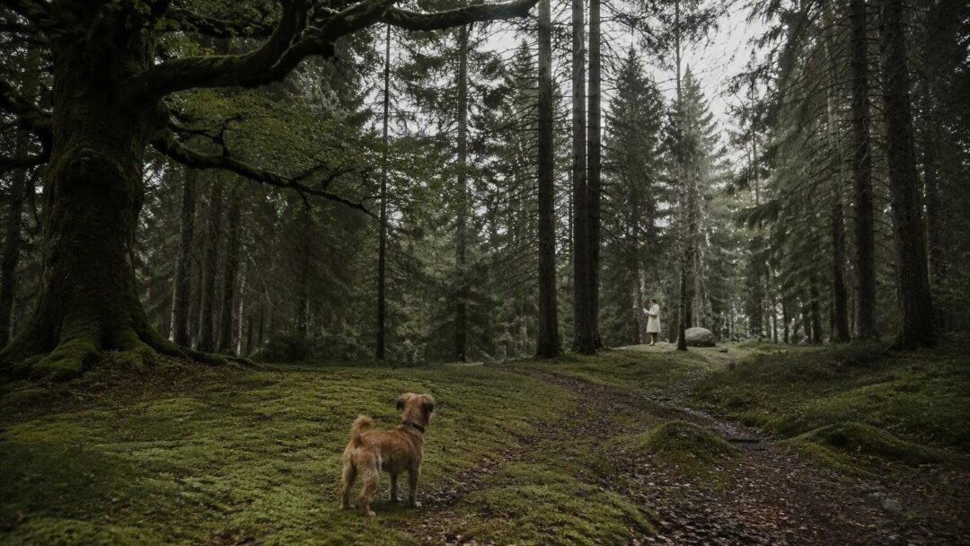 Come i fondi avanzati per una cagnolina hanno realizzato il sogno di una bambina