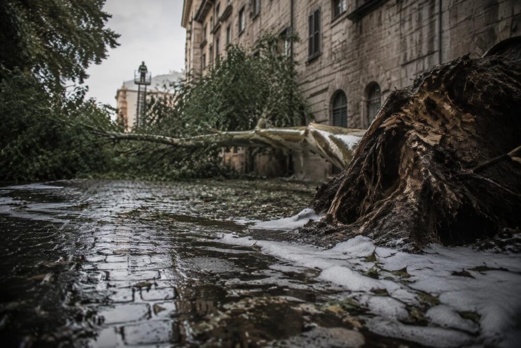 Nubifragio a Perugia: alberi caduti, strade allagate e interventi dei vigili del fuoco