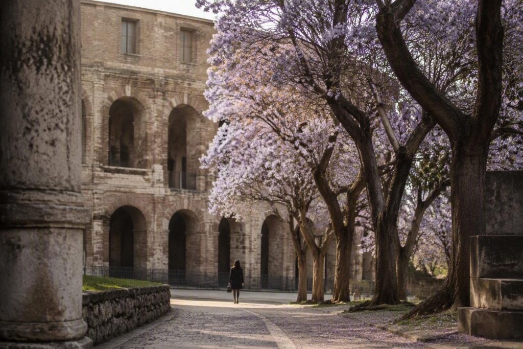 Esiti maturità 2026: Umbria eccelle nelle lodi, ma diminuiscono i 100