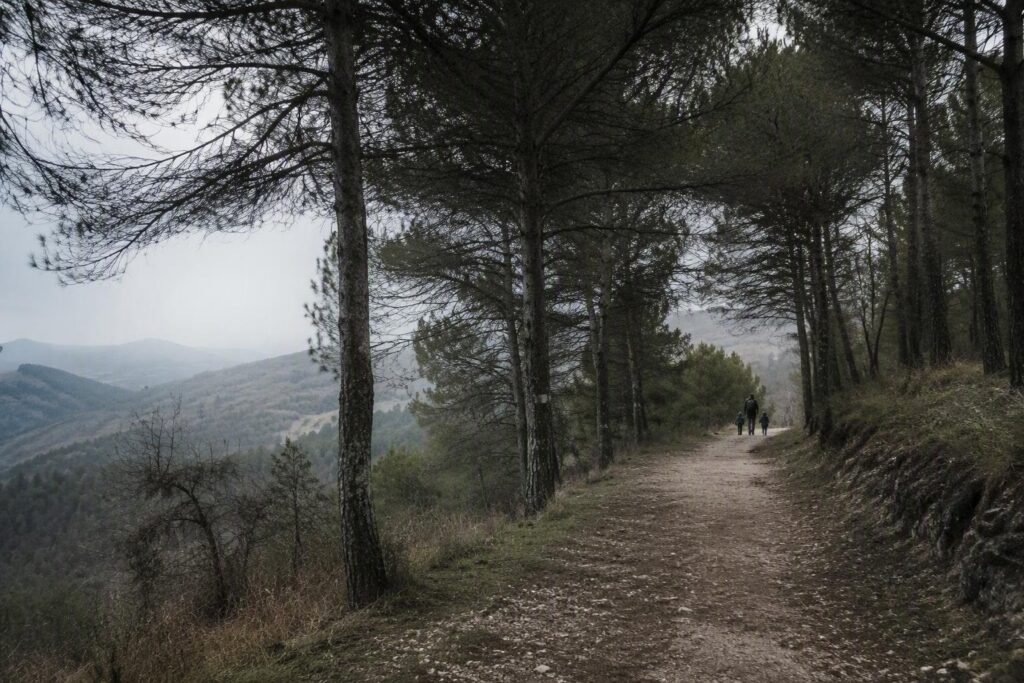 Itinerari facili a Perugia: trekking per famiglie con tracce GPX