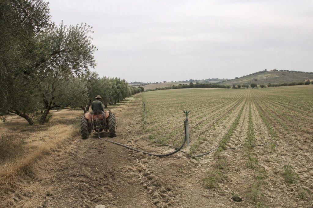 Regione Umbria aumenta carburante agricolo per fronteggiare la siccità estiva
