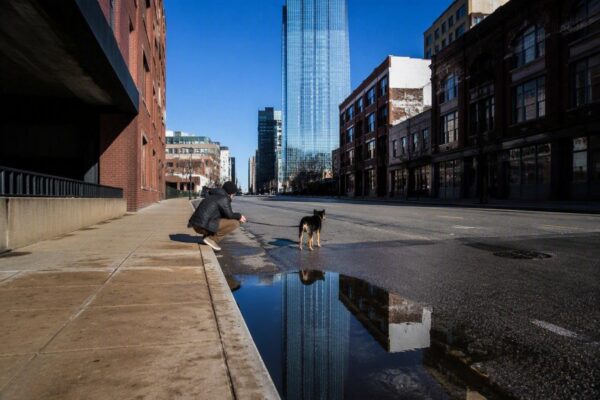Consejos prácticos para pasear con perros en zonas urbanas