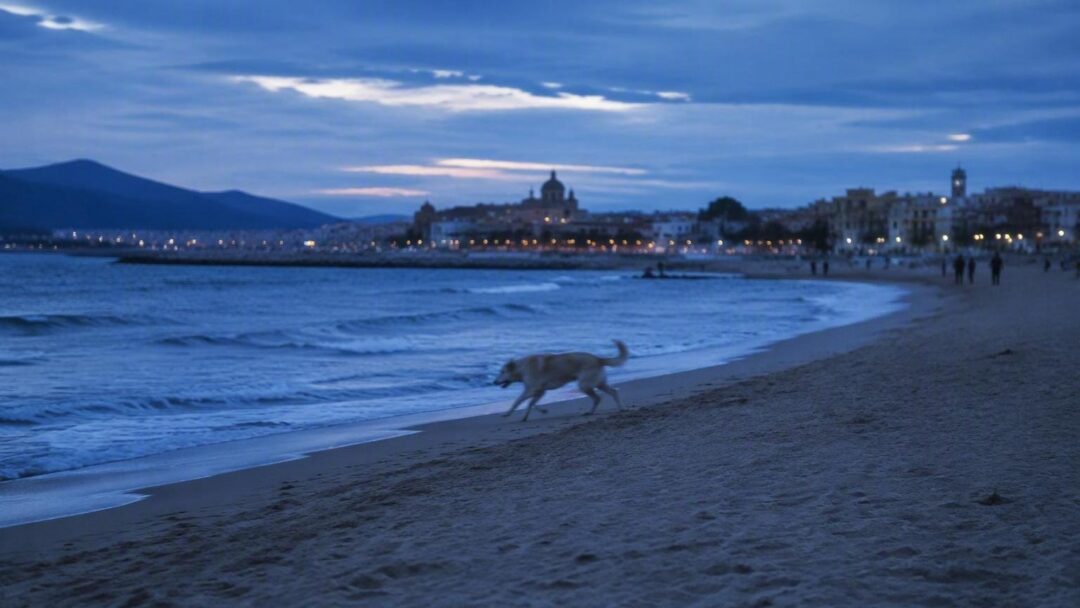 Dónde ir a la playa con tu perro: normas y destinos pet-friendly en España
