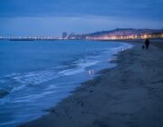 Guía completa de playas pet friendly en España para disfrutar con tu perro