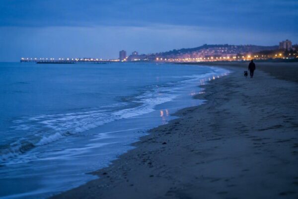 Guía completa de playas pet friendly en España para disfrutar con tu perro