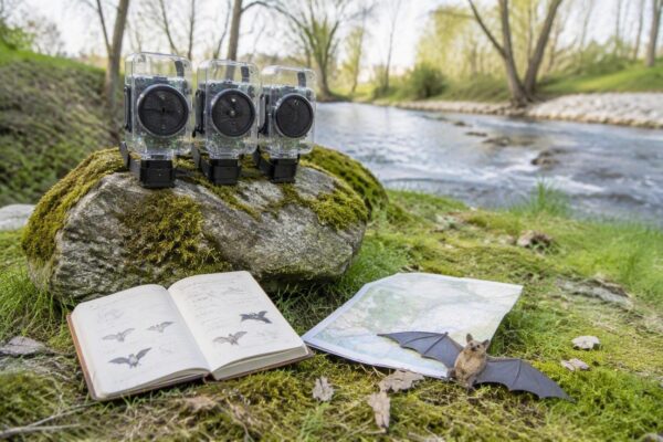Sensores con IA en Madrid Río y Valdebebas para estudiar aves y murciélagos
