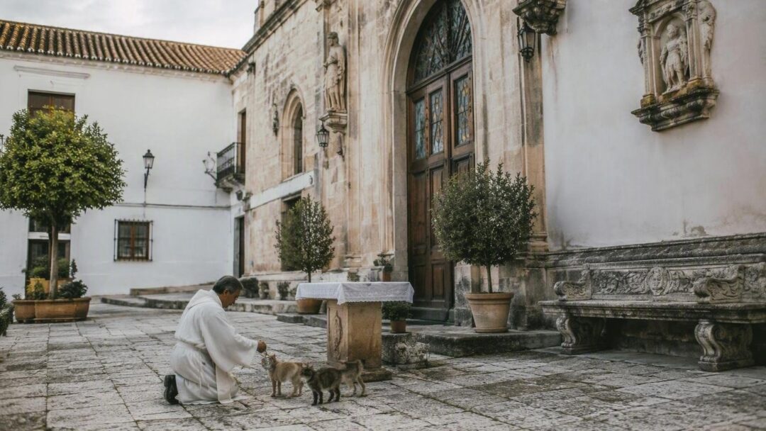 Tradiciones religiosas honran a San Roque con bendiciones para perros y gatos