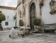 Tradiciones religiosas honran a San Roque con bendiciones para perros y gatos