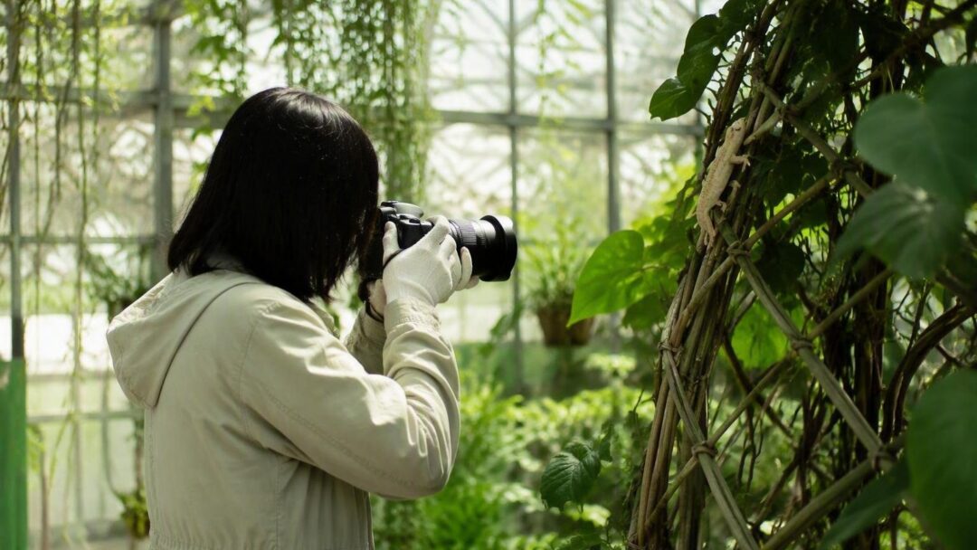 Buenas prácticas para fotografiar reptiles sin dañarlos