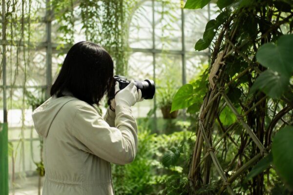 Buenas prácticas para fotografiar reptiles sin dañarlos