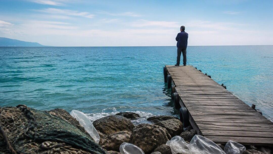 Estudio revela presencia de químicos en jurel, sardina, salmonete y merluza del Mediterráneo