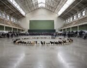 Exposición canina de Bilbao 2026: 1.400 perros de 200 razas en Muskiz