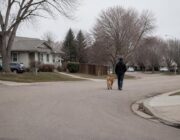 Guía práctica para paseos sin ansiedad en perros