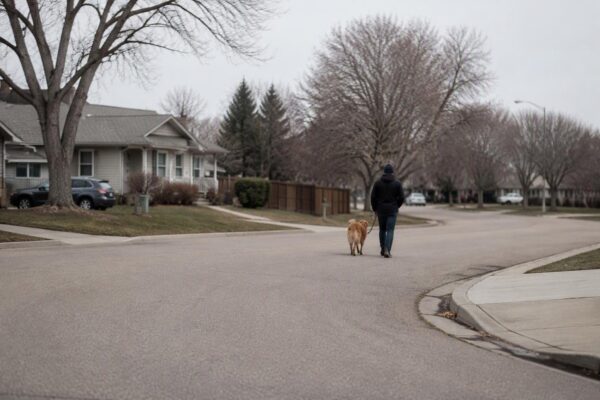 Guía práctica para paseos sin ansiedad en perros
