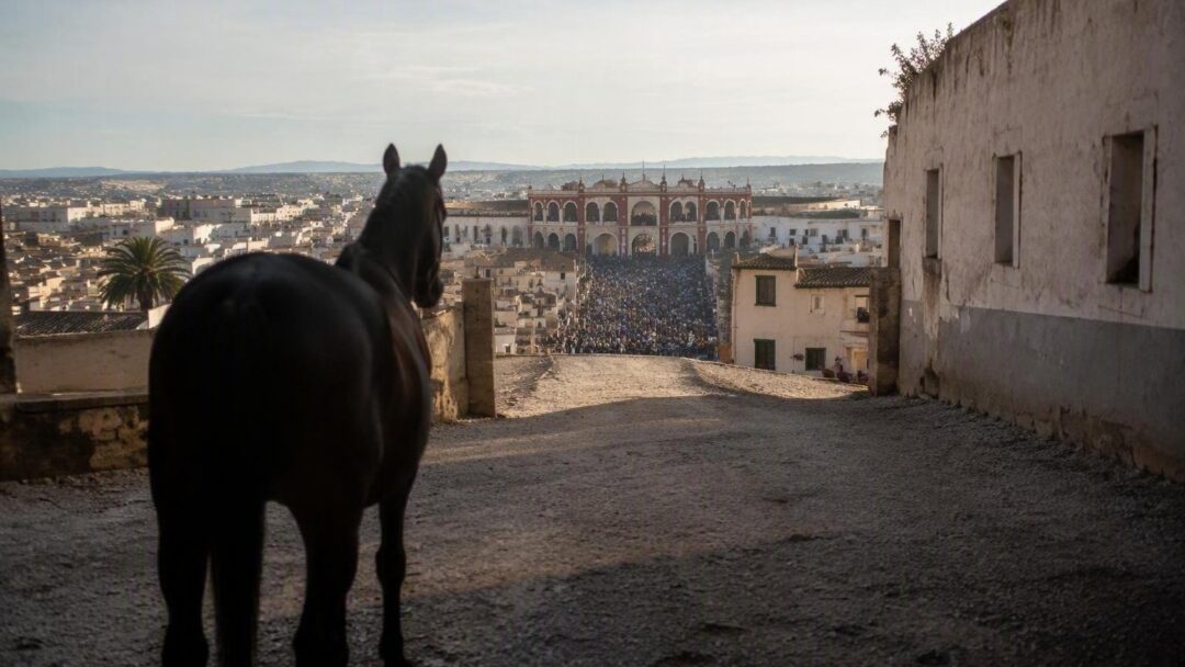 Incidente de seis caballos en Orán y la vistosa corrida de Segorbe