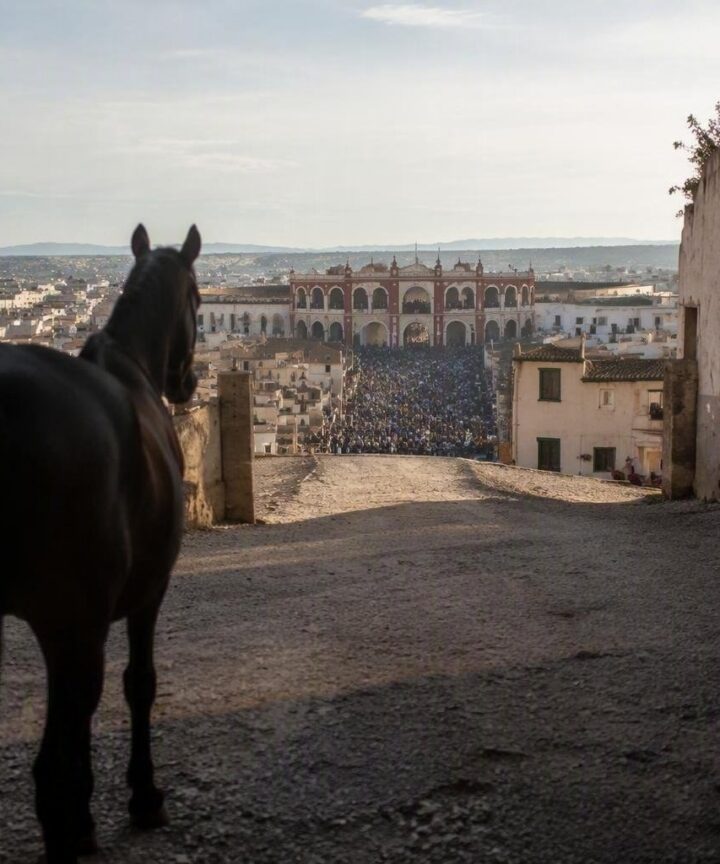 Incidente de seis caballos en Orán y la vistosa corrida de Segorbe