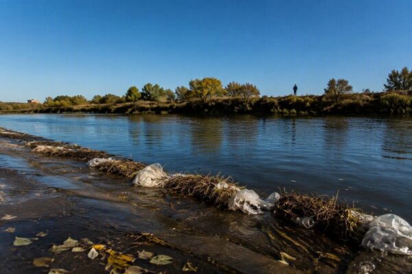 Jóvenes y perros rescatados del río Segura en Cieza: la intervención clave de la Policía Local