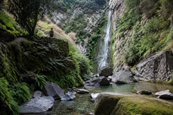 Plataforma ciudadana lucha por la recuperación del Barranco de Los Cernícalos