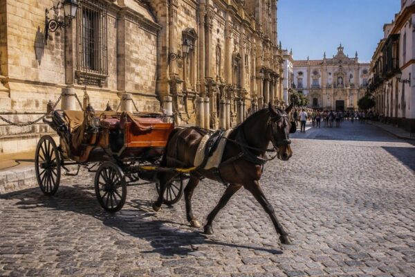 Sentencia elimina excepción y avanza la protección de los animales