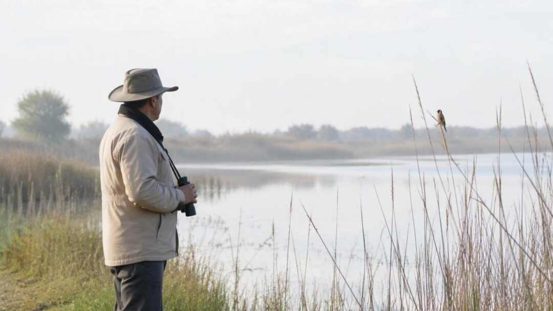 Visita la reserva de la Laguna del Prado y descubre el jilguero europeo