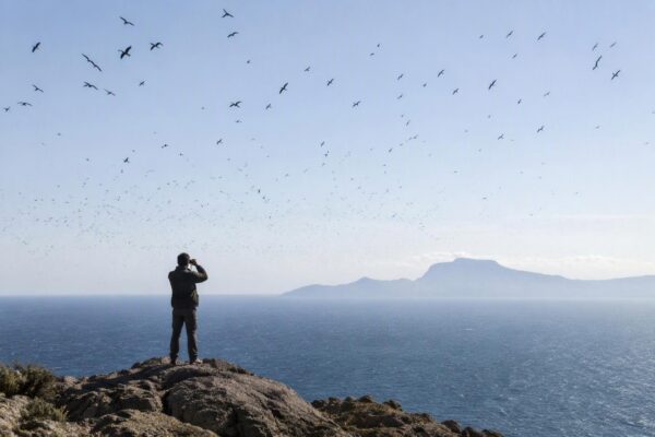 Actividades gratuitas para el Día de las Aves en Tarifa y Grazalema