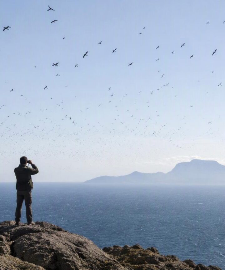 Actividades gratuitas para el Día de las Aves en Tarifa y Grazalema