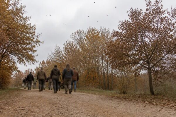 Calendario ambiental de Ávila para otoño: talleres, rutas y compostaje