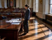 Debate sobre perros ferales, sentencia judicial y hechos sorprendentes