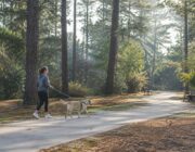 Empezar a correr con tu perro: edad, razas y seguridad